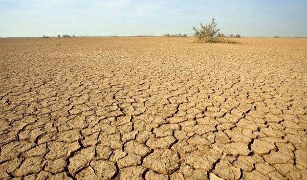 Water Crisis: ਪੰਜਾਬ ਵਿੱਚ ਬੰਜਰ ਹੋ ਰਹੀ ਧਰਤੀ ਤੇ ਜ਼ਹਿਰੀਲਾ ਹੋ ਰਿਹਾ ਪਾਣੀ!