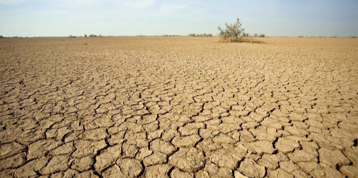 Water Crisis: ਪੰਜਾਬ ਵਿੱਚ ਬੰਜਰ ਹੋ ਰਹੀ ਧਰਤੀ ਤੇ ਜ਼ਹਿਰੀਲਾ ਹੋ ਰਿਹਾ ਪਾਣੀ!